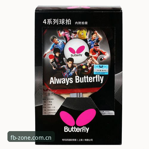 FB体育平台安装包v2.5.2深度评测：官网找不到与下载失败的全方位解决方案